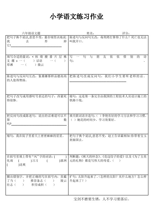 小学六年级语文自学自评I (25)