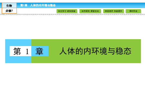 生物必修三第一章复习用PPT