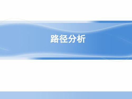 路径分析