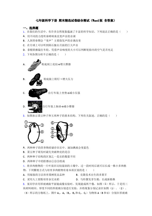 七年级科学下册 期末精选试卷综合测试(Word版 含答案)