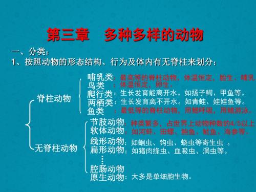 最新青岛版(六三制)小学科学三年级下册《多样的动物》公开课课件2