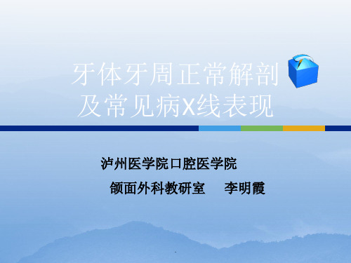 牙体牙周正常解剖及常见病X线表现ppt课件