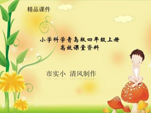小学科学青岛版四年级上册高效课堂资料4 水变咸了课件