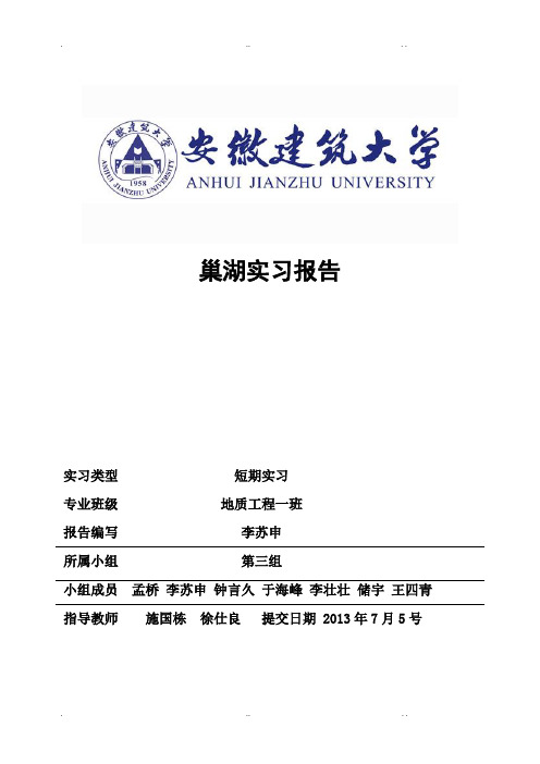 巢湖实习报告