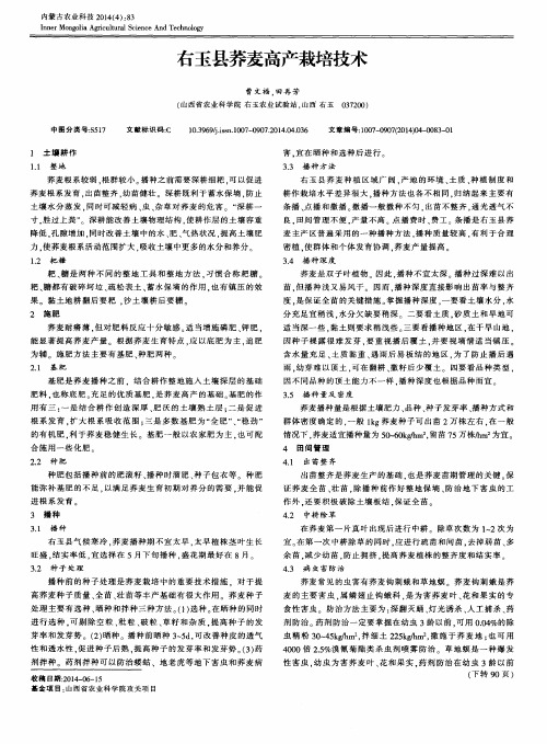 右玉县荞麦高产栽培技术