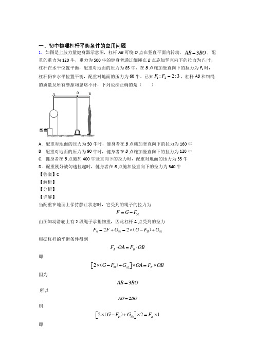2020-2021中考物理杠杆平衡条件的应用问题综合练习题附详细答案