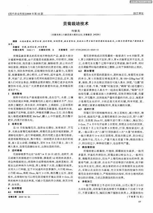 贡菊栽培技术