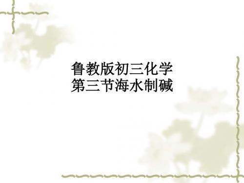 鲁教版初三化学第三节海水制碱ppt课件