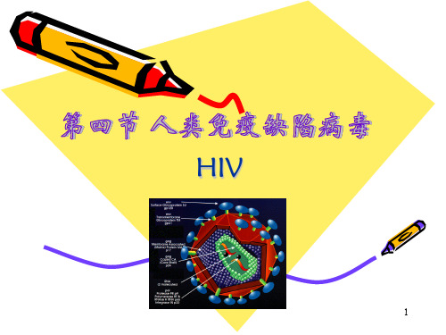 人类免疫缺陷病毒ppt课件