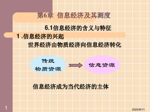6-信息经济及其侧度