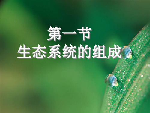 苏教版初中生物八年级上册 7.19.1 生态系统的组成 课件 (共20张PPT)