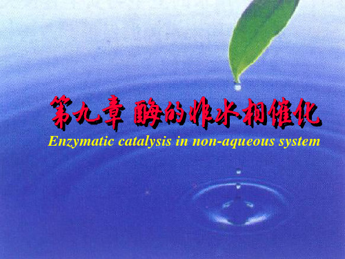 第九章非水相酶的催化作用
