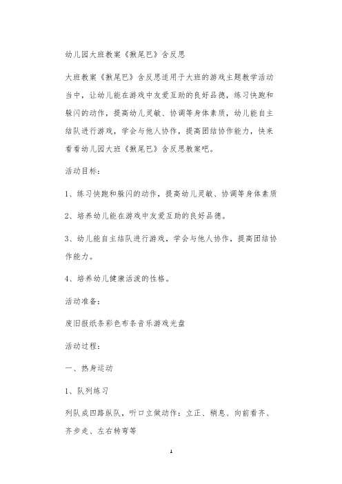 全国公立普惠性幼儿园通用幼教教师教学课程指南大班教案《揪尾巴》含反思