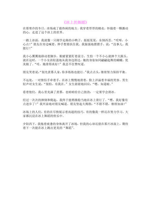 《冰上的舞蹈》