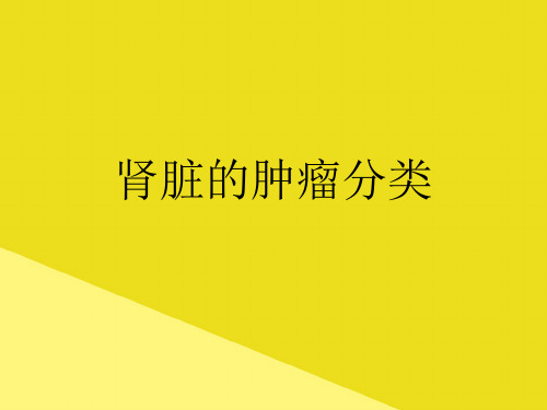 肾脏的肿瘤分类PPT资料(正式版)