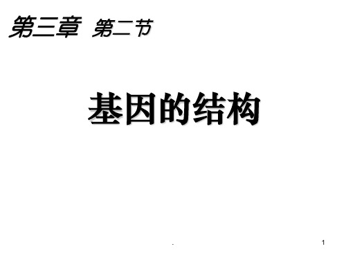 基因的结构PPT课件