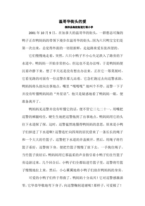 温哥华街头的爱