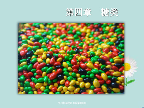 生物化学简明教程第4章糖