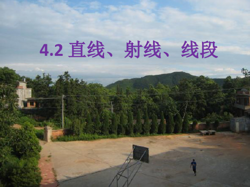 直线,射线,线段PPT课件