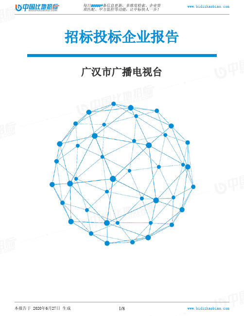 广汉市广播电视台-招投标数据分析报告