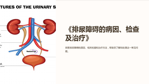 《课件  排尿障碍的病因、检查及治疗》