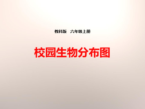 校园生物分布图-生物的多样性公开课课件