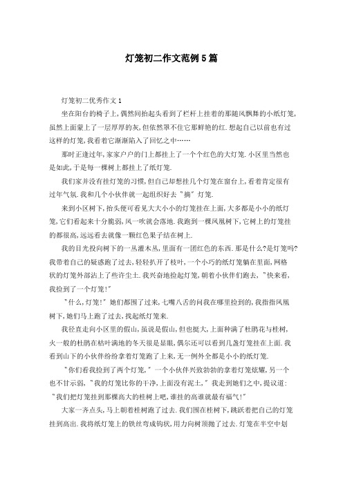 灯笼初二作文范例5篇