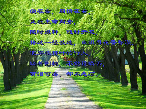安乐死与临终护理伦理道德