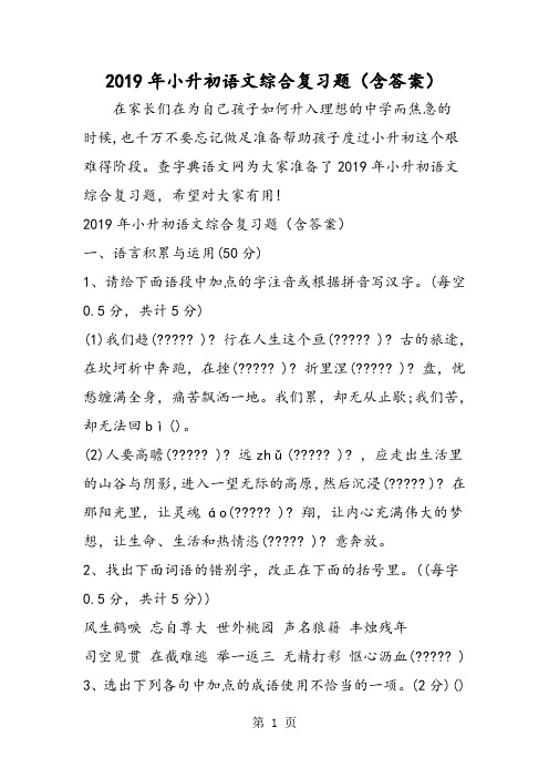 2019小升初语文综合复习题(含答案)语文