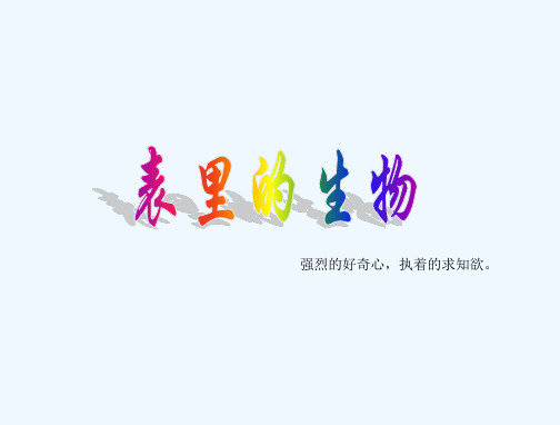 《表里的生物》课件 PPT