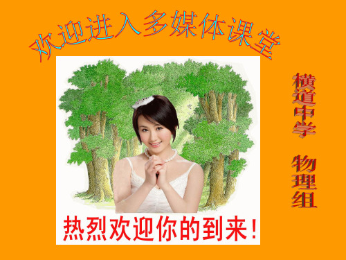 新人教版八年级物理下册第十章第二节《阿基米德原理》ppt课件