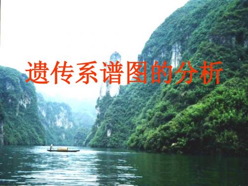 遗传系谱图分析