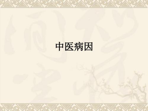 中医病因ppt课件