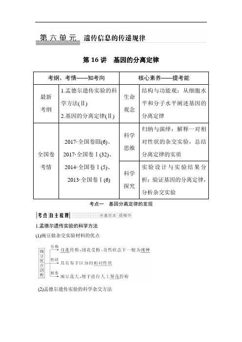 遗传信息的传递规律