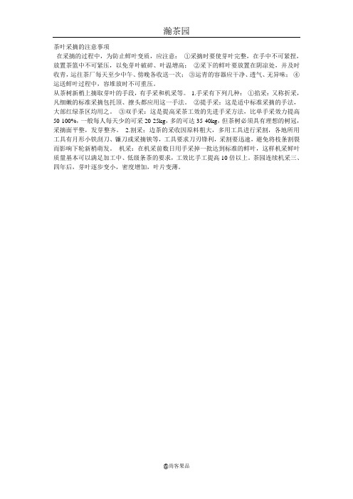 茶叶采摘的注意事项