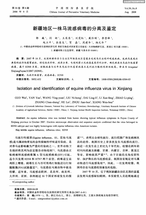 新疆地区一株马流感病毒的分离及鉴定