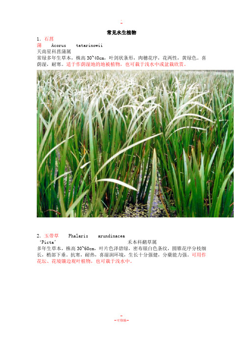 常见水生植物