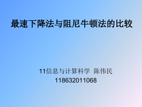 最优化最速下降法,阻尼牛顿效率比较课件