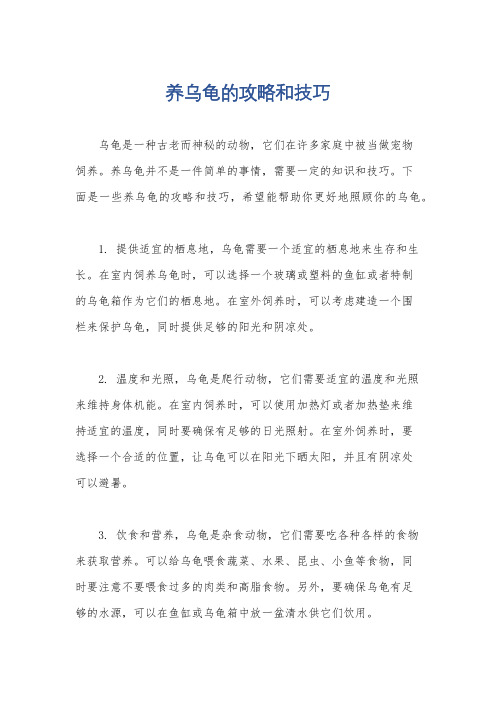 养乌龟的攻略和技巧