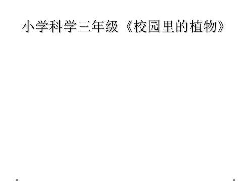 小学科学三年级《校园里的植物》