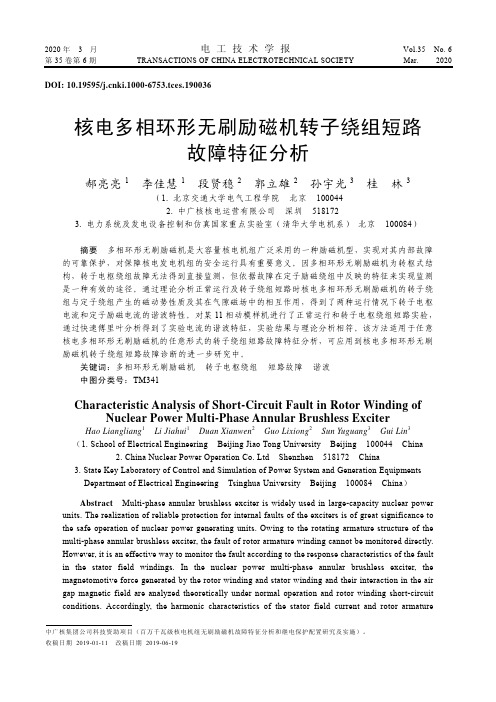 核电多相环形无刷励磁机转子绕组短路故障特征分析