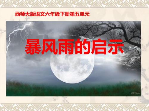 暴风雨的启示 优秀ppt课件2
