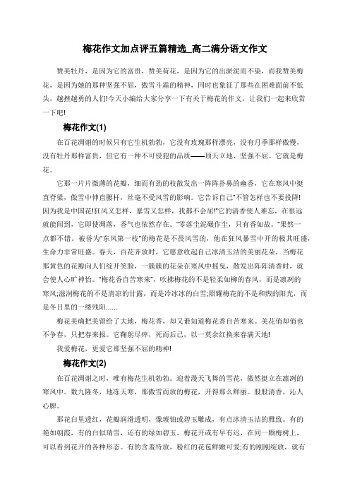 梅花作文加点评五篇精选_高二满分语文作文