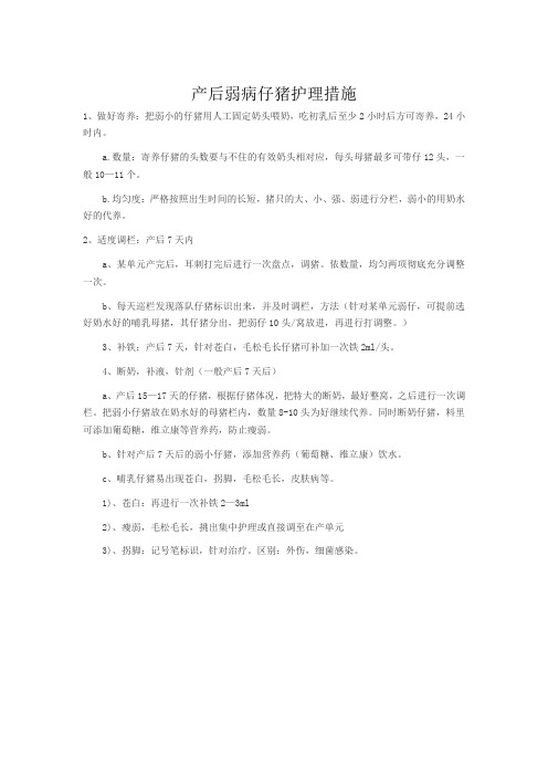 产后弱病仔猪护理措施