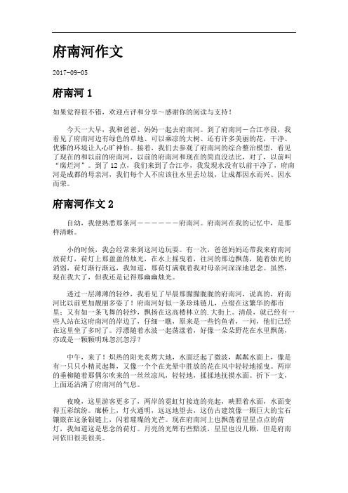 府南河作文.