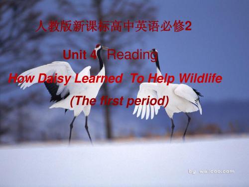 高一英语必修2 Reading  教学设计ppt课件