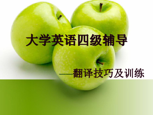 大学英语四级翻译技巧及训练