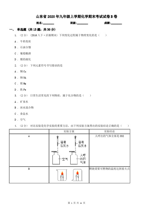 山东省2020年九年级上学期化学期末考试试卷B卷(模拟)