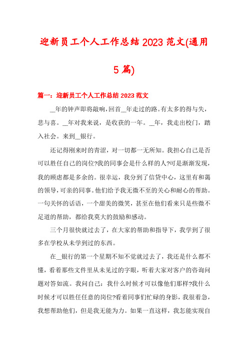 迎新员工个人工作总结2023范文(通用5篇)