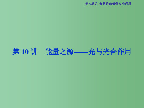 高考生物总复习 第3单元 第10讲 能量之源课件